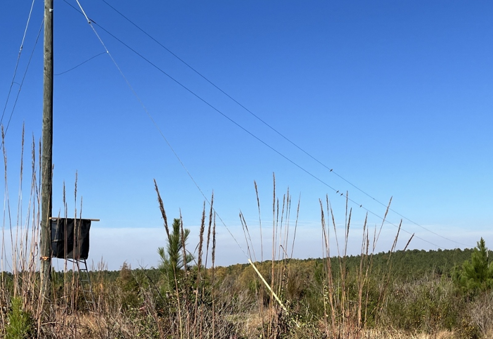 Union County, 0 , 0 ,0,Land,Active,0,1192 Union County, 0 , 0 ,0,Land,Active,0,1192