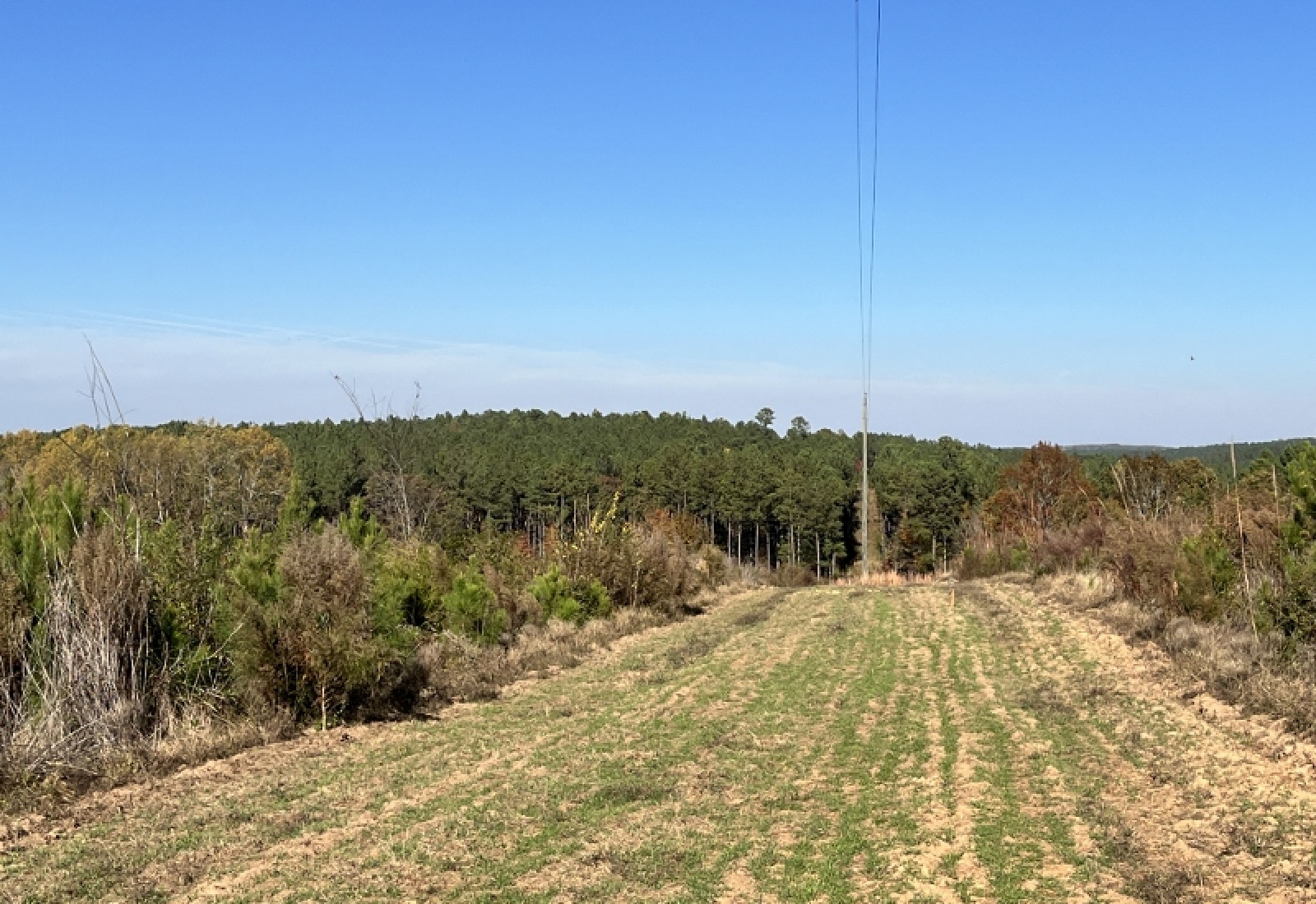 Union County, 0 , 0 ,0,Land,Active,0,1192 Union County, 0 , 0 ,0,Land,Active,0,1192