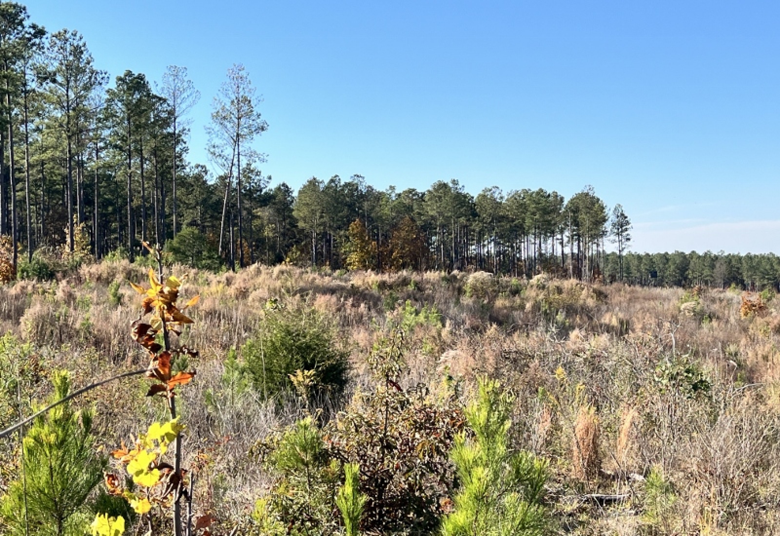 Union County, 0 , 0 ,0,Land,Active,0,1192 Union County, 0 , 0 ,0,Land,Active,0,1192