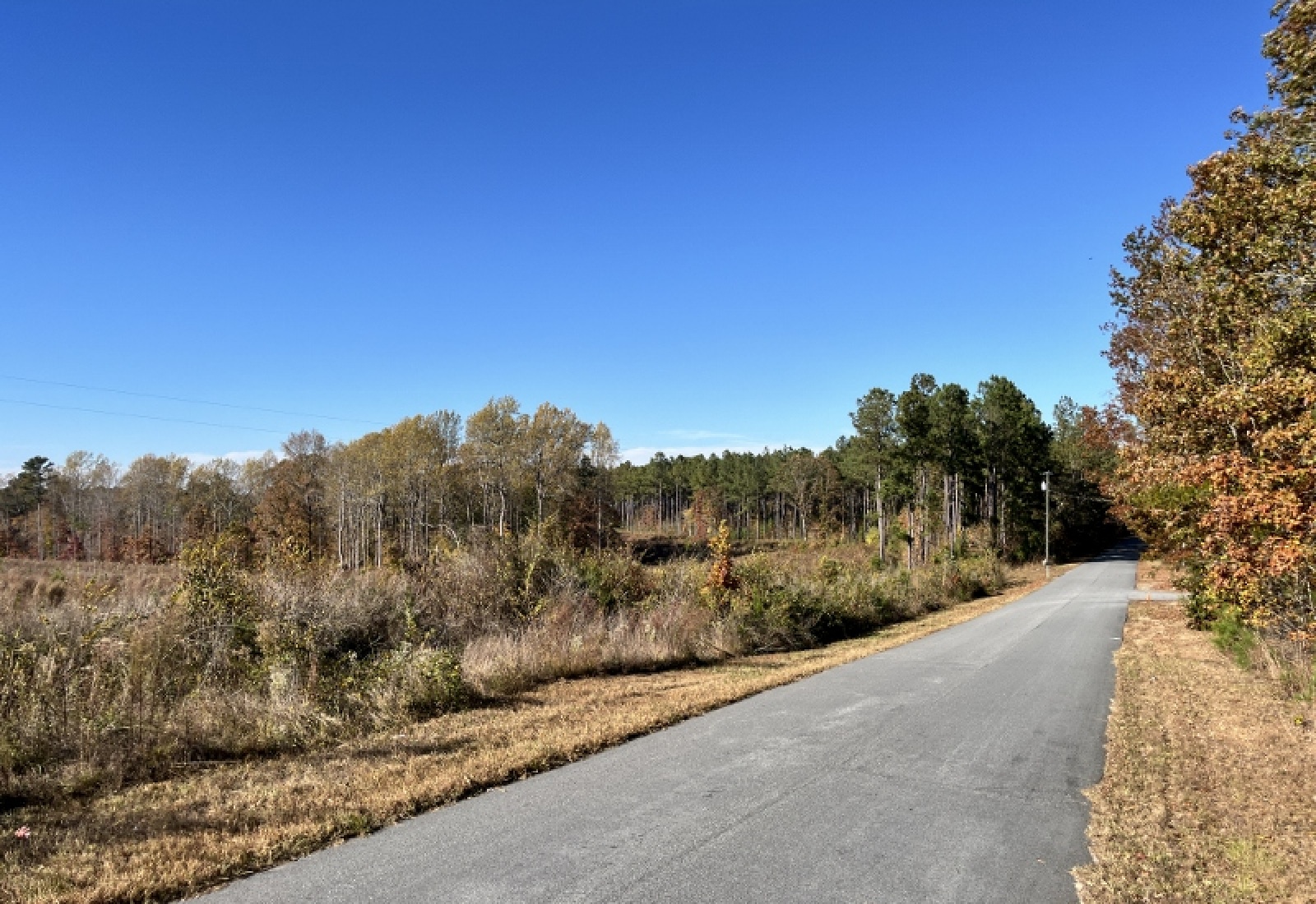 Union County, 0 , 0 ,0,Land,Active,0,1192 Union County, 0 , 0 ,0,Land,Active,0,1192