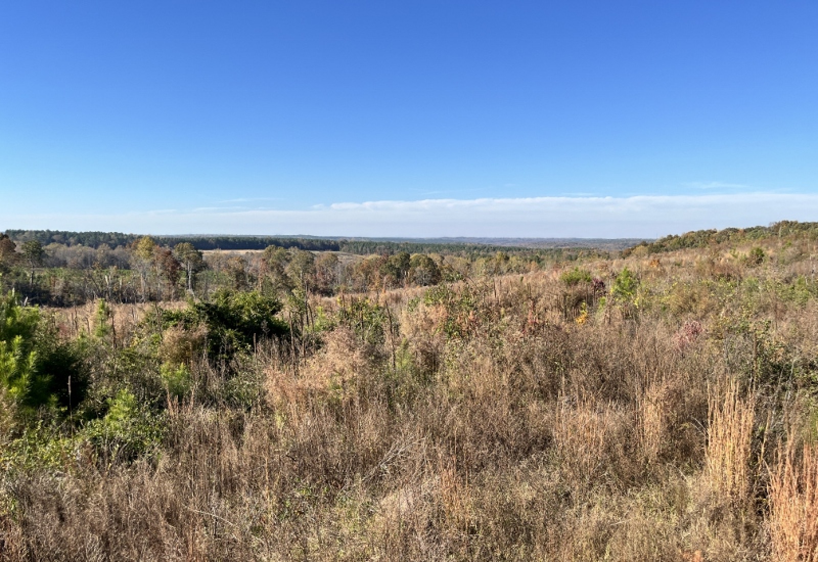 Union County, 0 , 0 ,0,Land,Active,0,1192 Union County, 0 , 0 ,0,Land,Active,0,1192