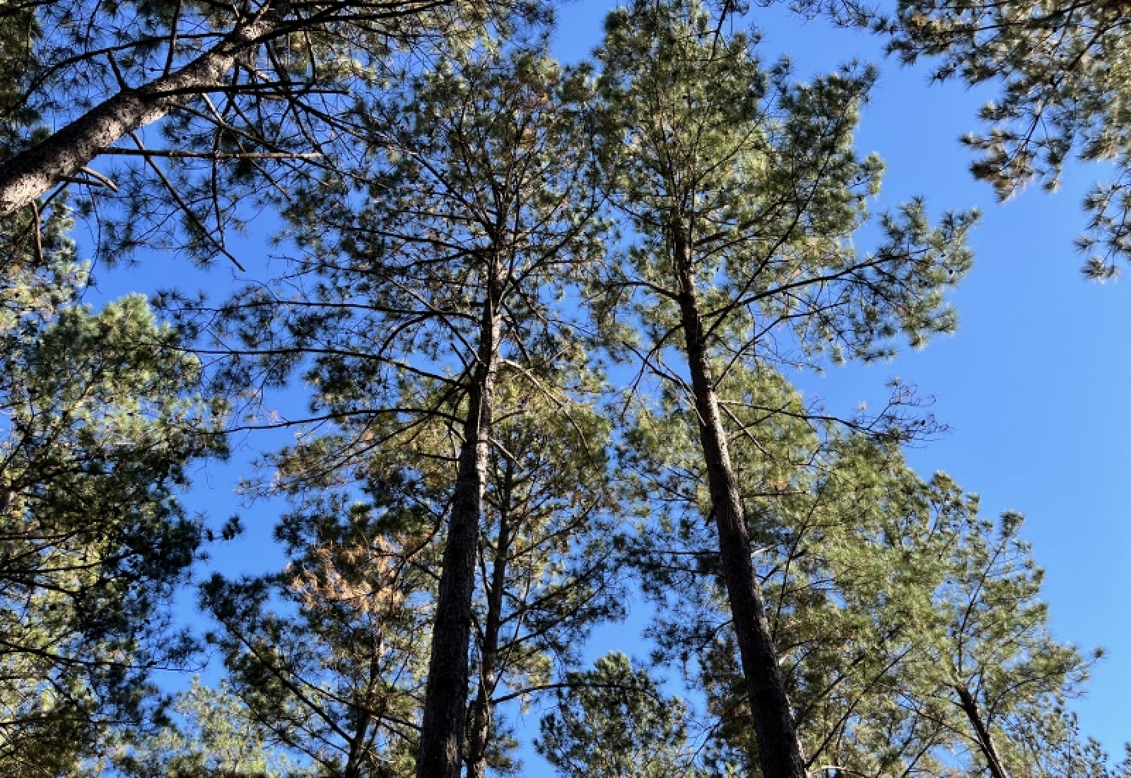 Union County, 0 , 0 ,0,Land,Active,0,1192 Union County, 0 , 0 ,0,Land,Active,0,1192