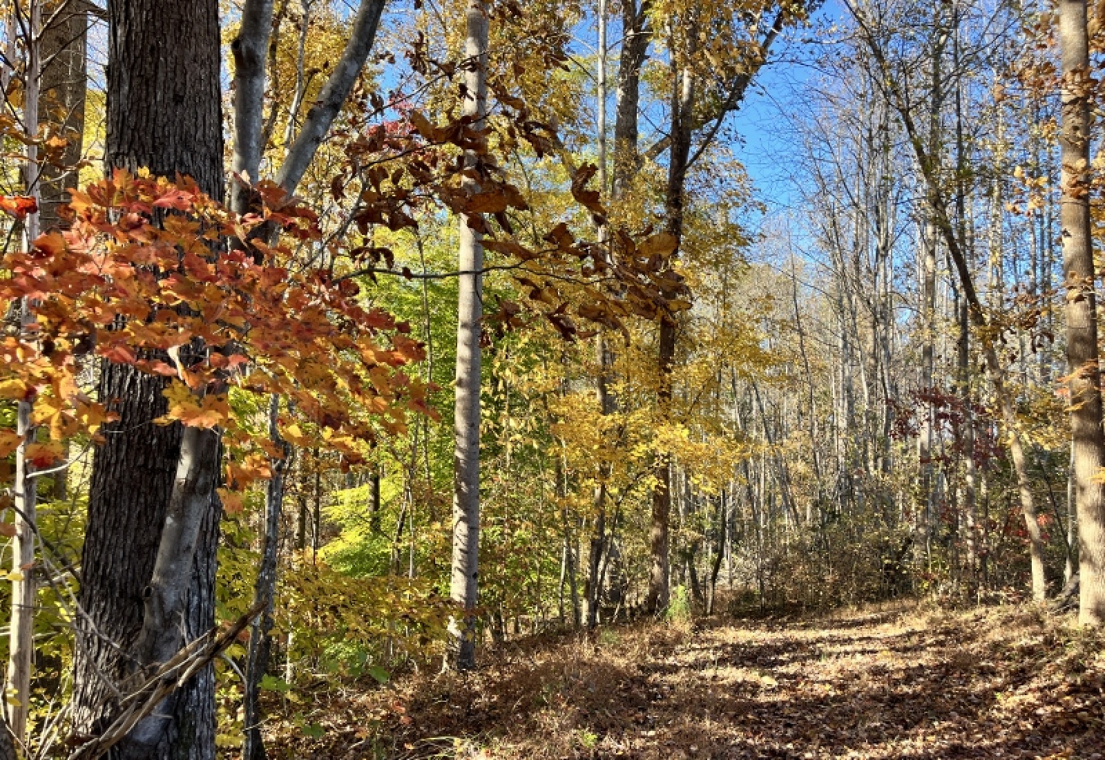 Union County, 0 , 0 ,0,Land,Active,0,1192 Union County, 0 , 0 ,0,Land,Active,0,1192