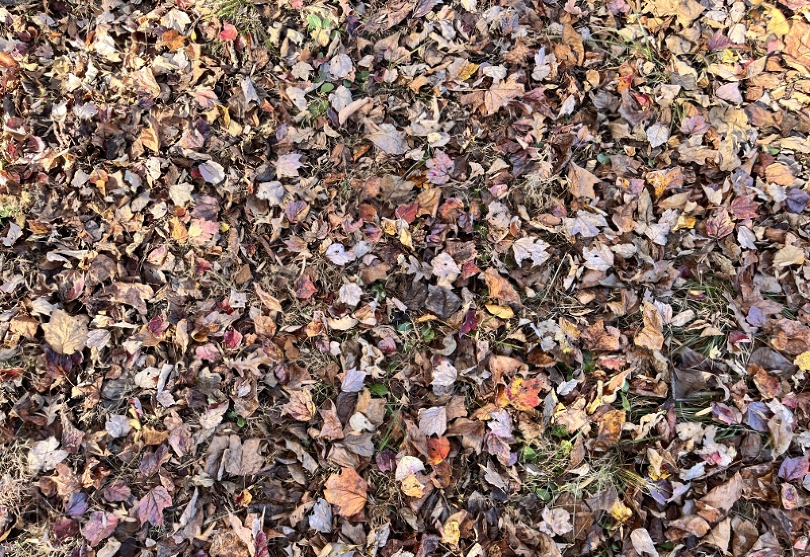 Union County, 0 , 0 ,0,Land,Active,0,1192 Union County, 0 , 0 ,0,Land,Active,0,1192