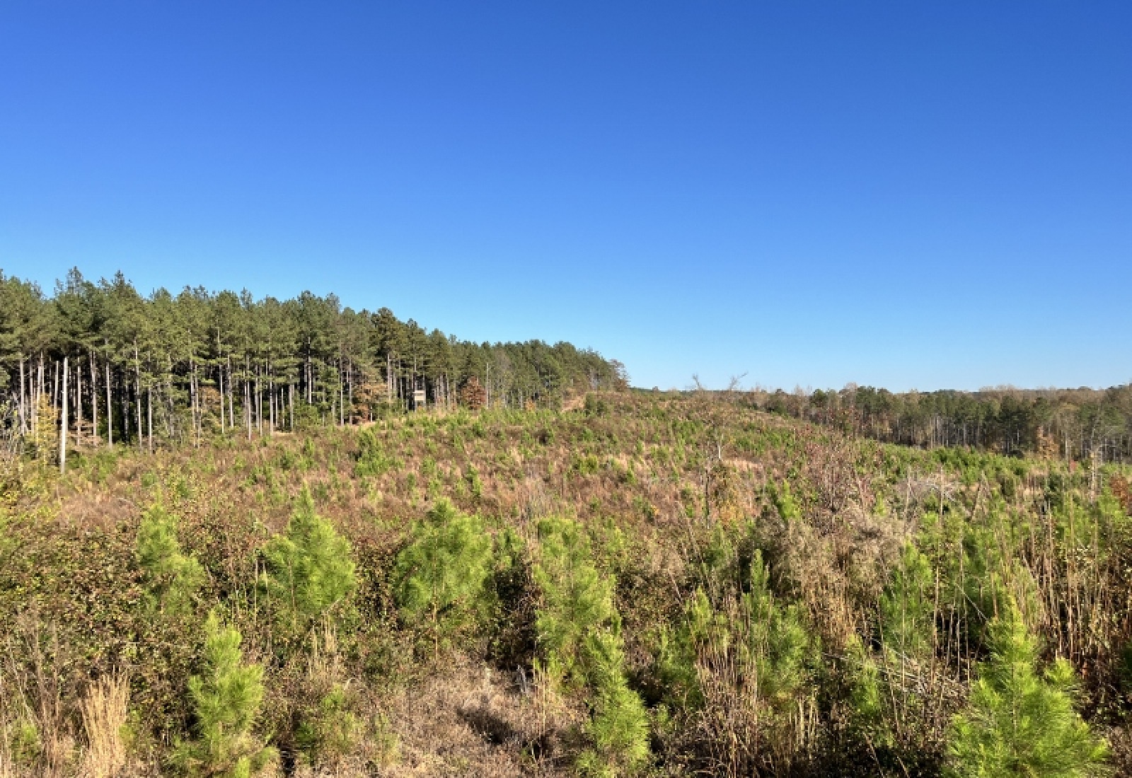 Union County, 0 , 0 ,0,Land,Active,0,1192 Union County, 0 , 0 ,0,Land,Active,0,1192