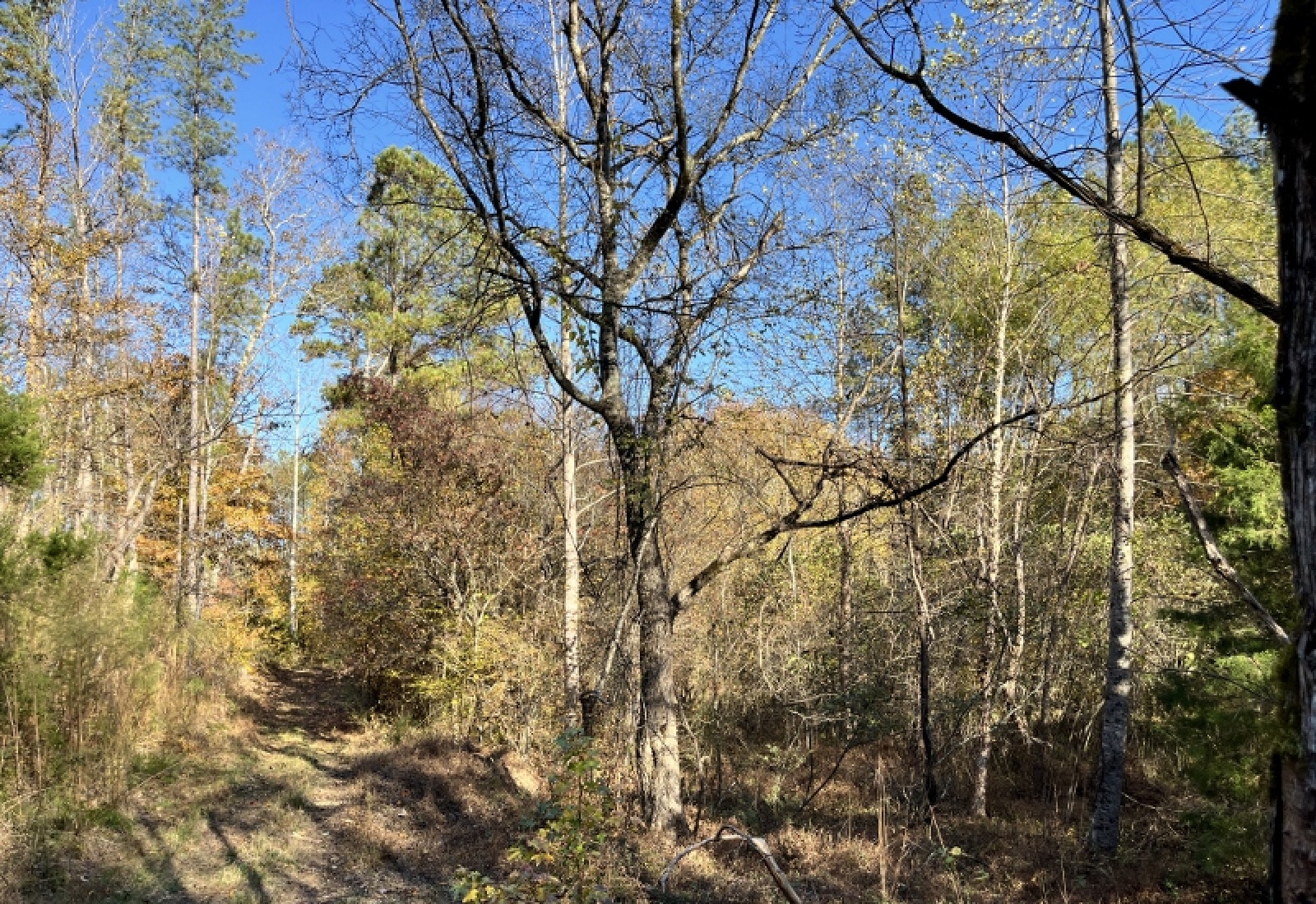 Union County, 0 , 0 ,0,Land,Active,0,1192 Union County, 0 , 0 ,0,Land,Active,0,1192