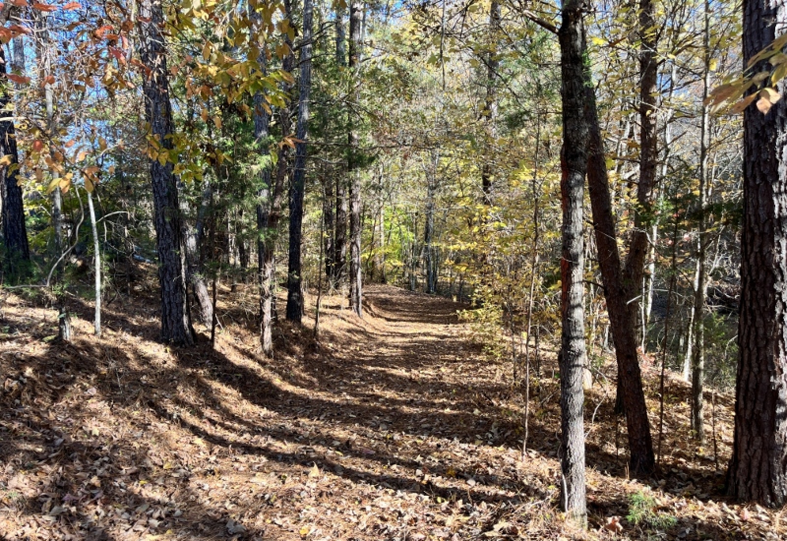 Union County, 0 , 0 ,0,Land,Active,0,1192 Union County, 0 , 0 ,0,Land,Active,0,1192