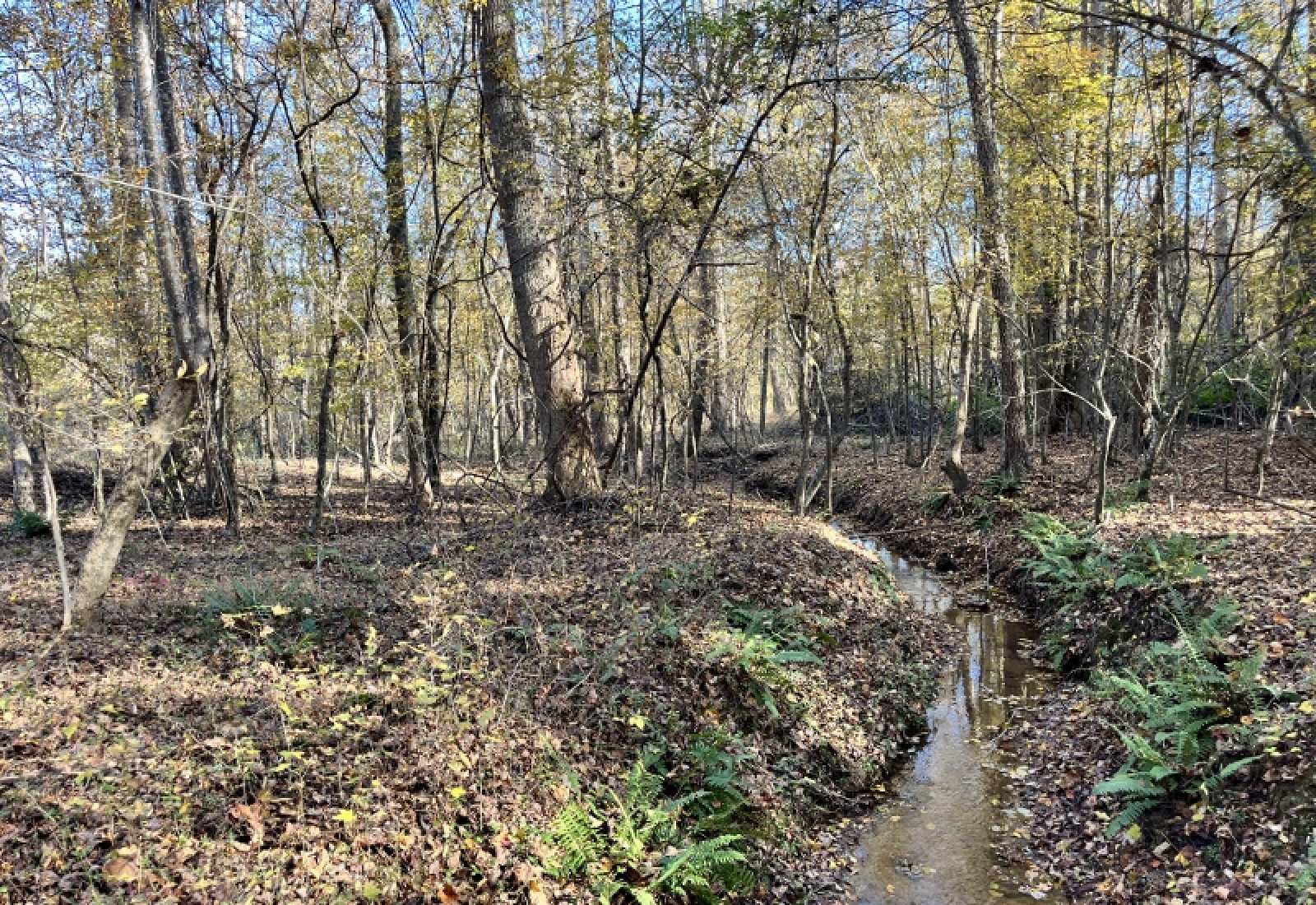 Union County, 0 , 0 ,0,Land,Active,0,1192 Union County, 0 , 0 ,0,Land,Active,0,1192