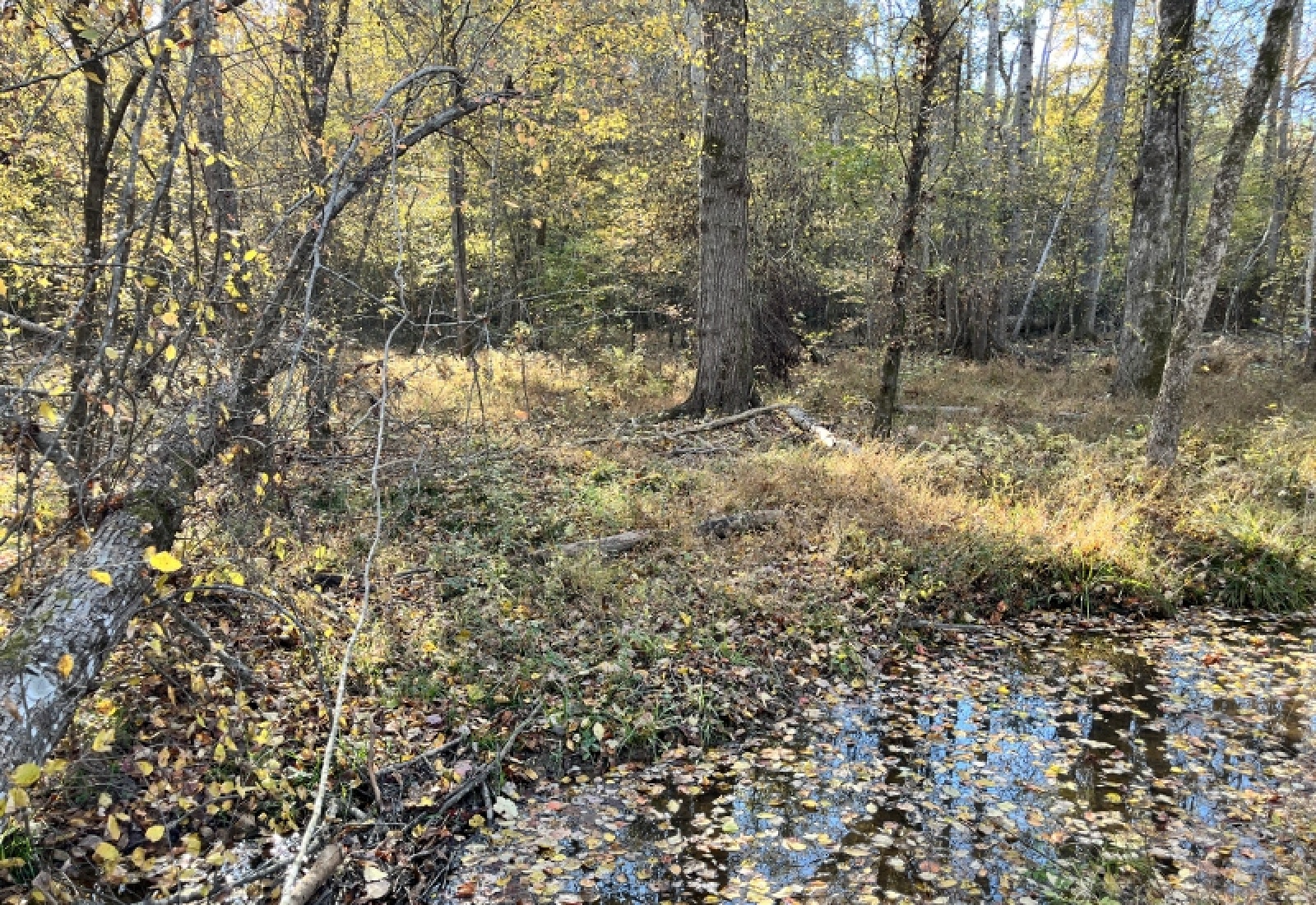 Union County, 0 , 0 ,0,Land,Active,0,1192 Union County, 0 , 0 ,0,Land,Active,0,1192