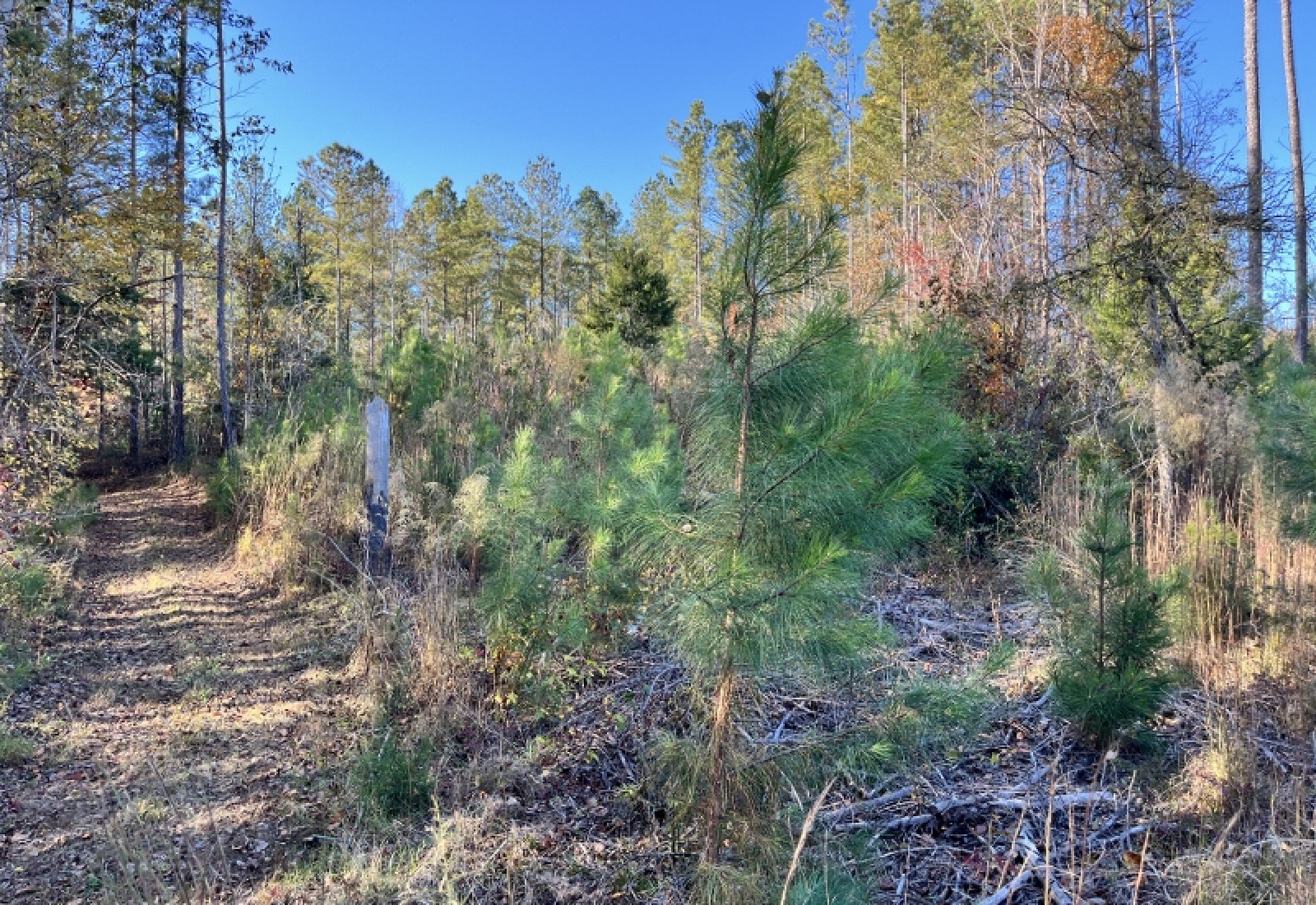 Union County, 0 , 0 ,0,Land,Active,0,1192 Union County, 0 , 0 ,0,Land,Active,0,1192