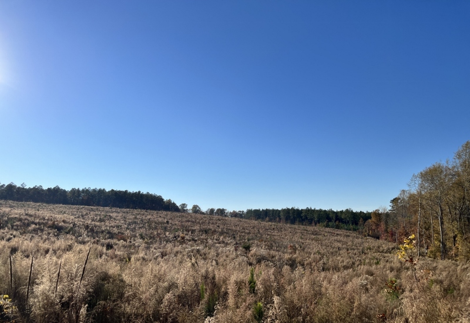 Union County, 0 , 0 ,0,Land,Active,0,1192 Union County, 0 , 0 ,0,Land,Active,0,1192