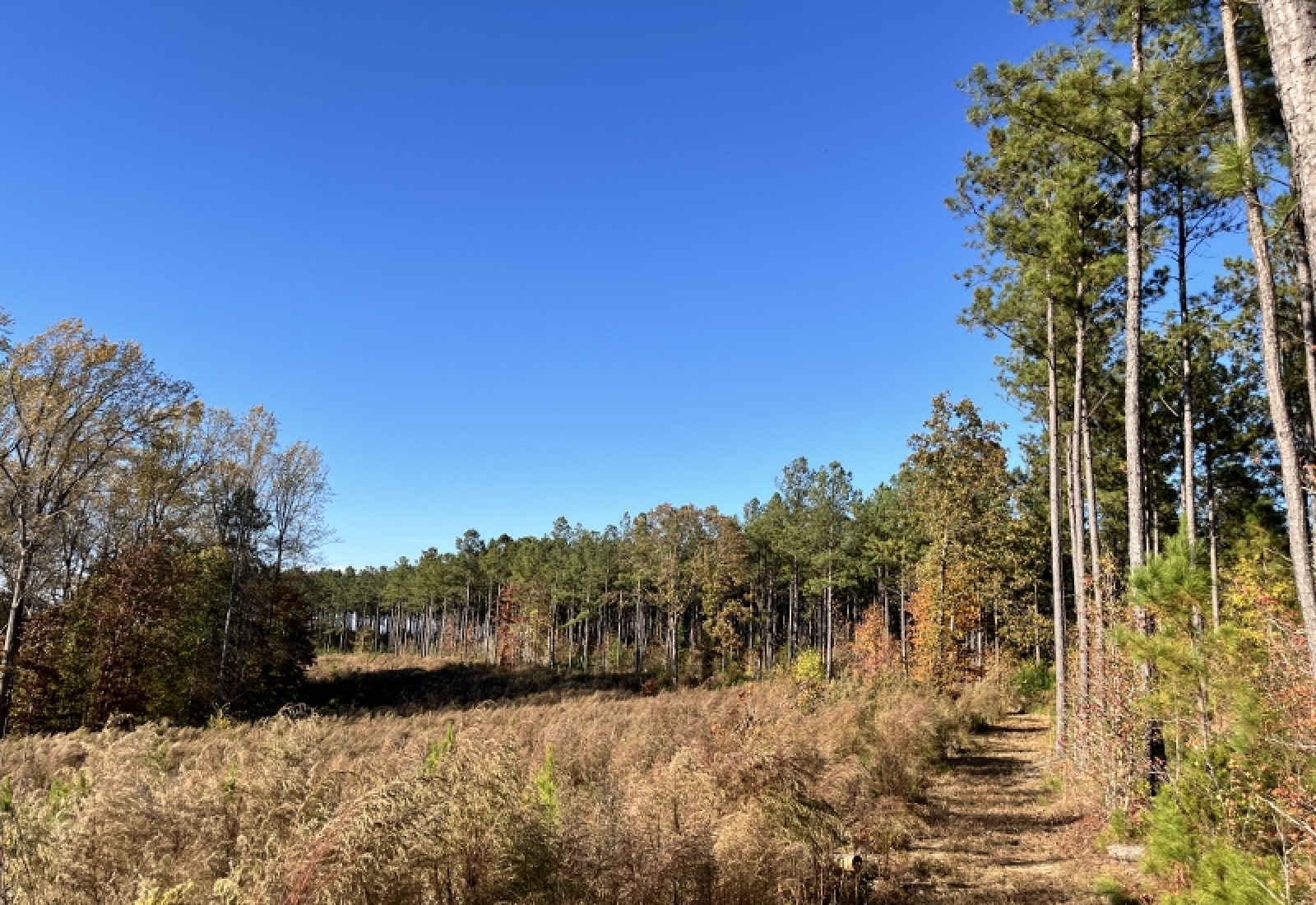 Union County, 0 , 0 ,0,Land,Active,0,1192 Union County, 0 , 0 ,0,Land,Active,0,1192