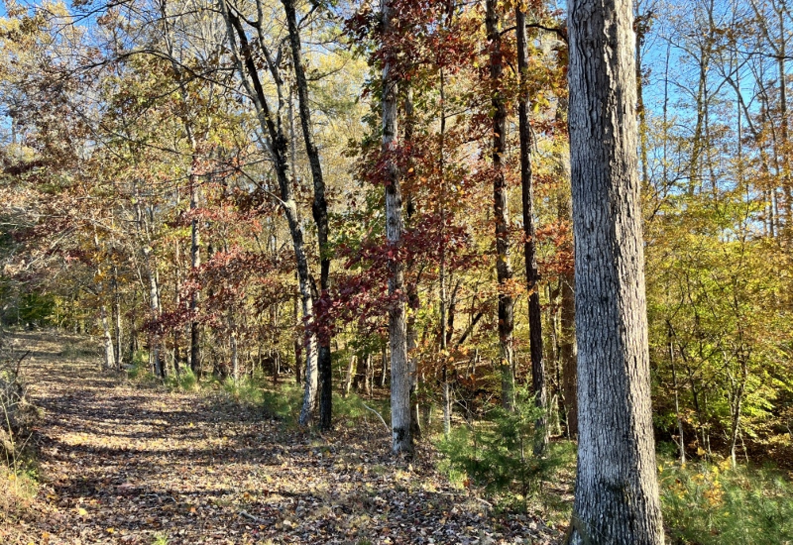 Union County, 0 , 0 ,0,Land,Active,0,1192 Union County, 0 , 0 ,0,Land,Active,0,1192