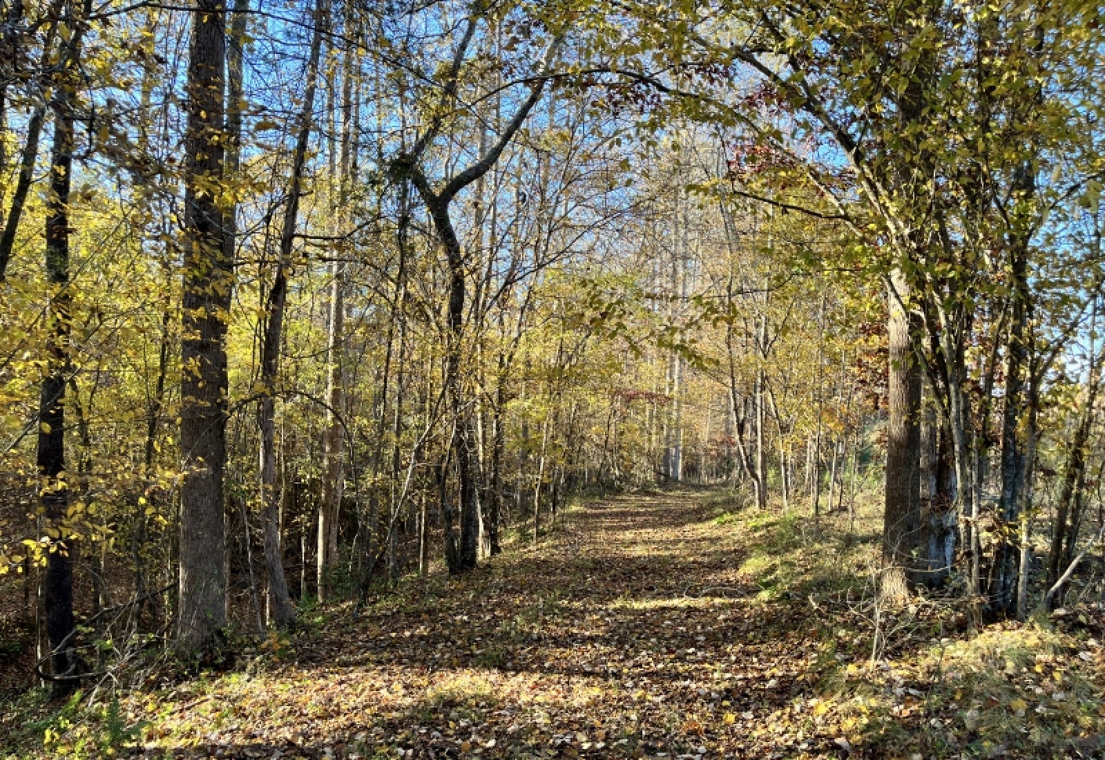 Union County, 0 , 0 ,0,Land,Active,0,1192 Union County, 0 , 0 ,0,Land,Active,0,1192