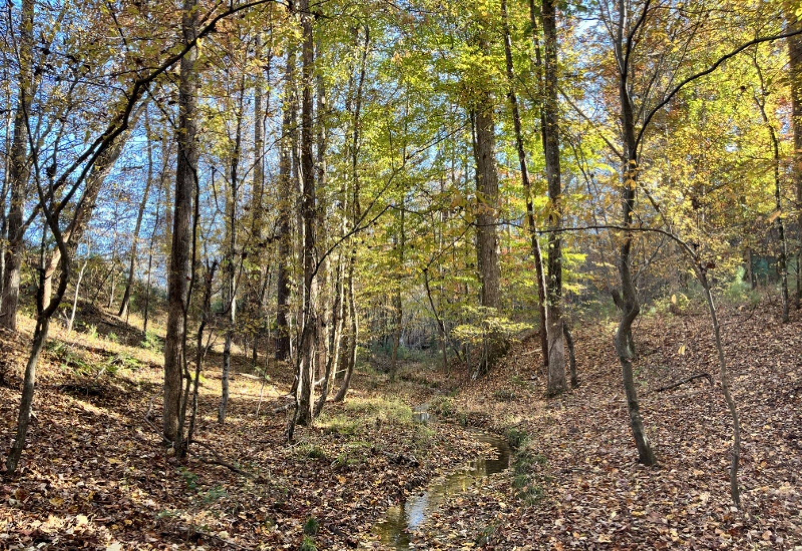 Union County, 0 , 0 ,0,Land,Active,0,1192 Union County, 0 , 0 ,0,Land,Active,0,1192