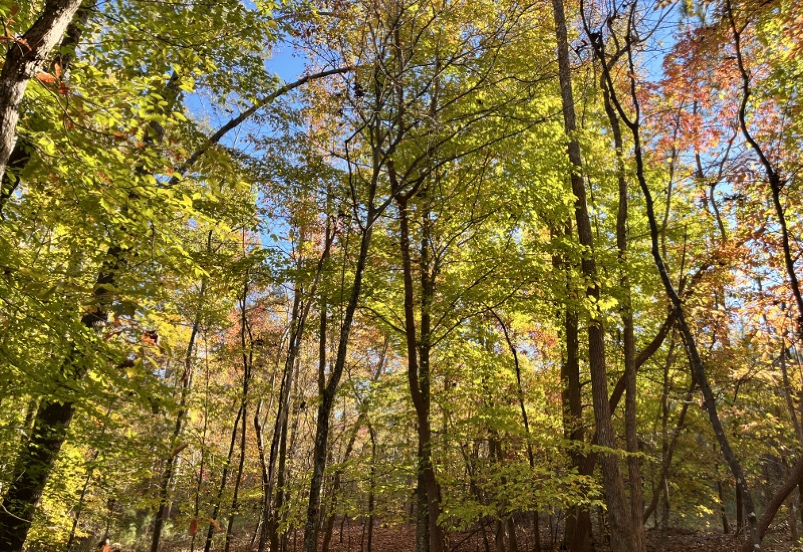 Union County, 0 , 0 ,0,Land,Active,0,1192 Union County, 0 , 0 ,0,Land,Active,0,1192