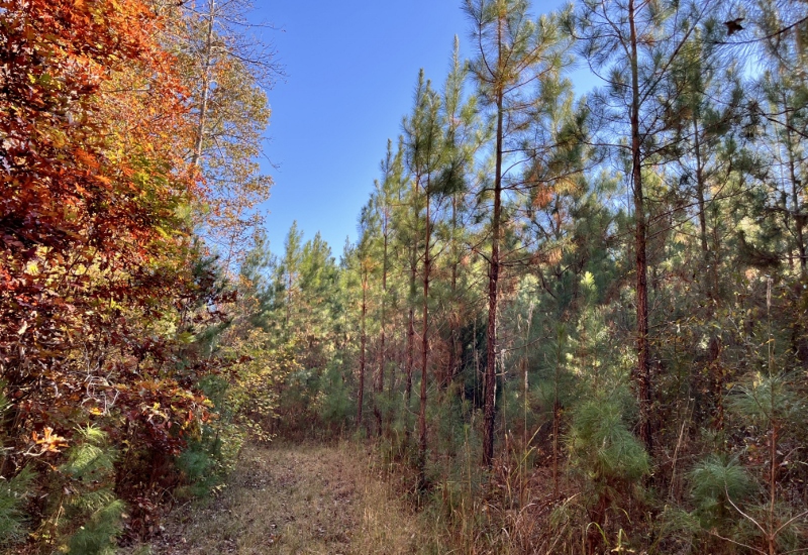 Union County, 0 , 0 ,0,Land,Active,0,1192 Union County, 0 , 0 ,0,Land,Active,0,1192