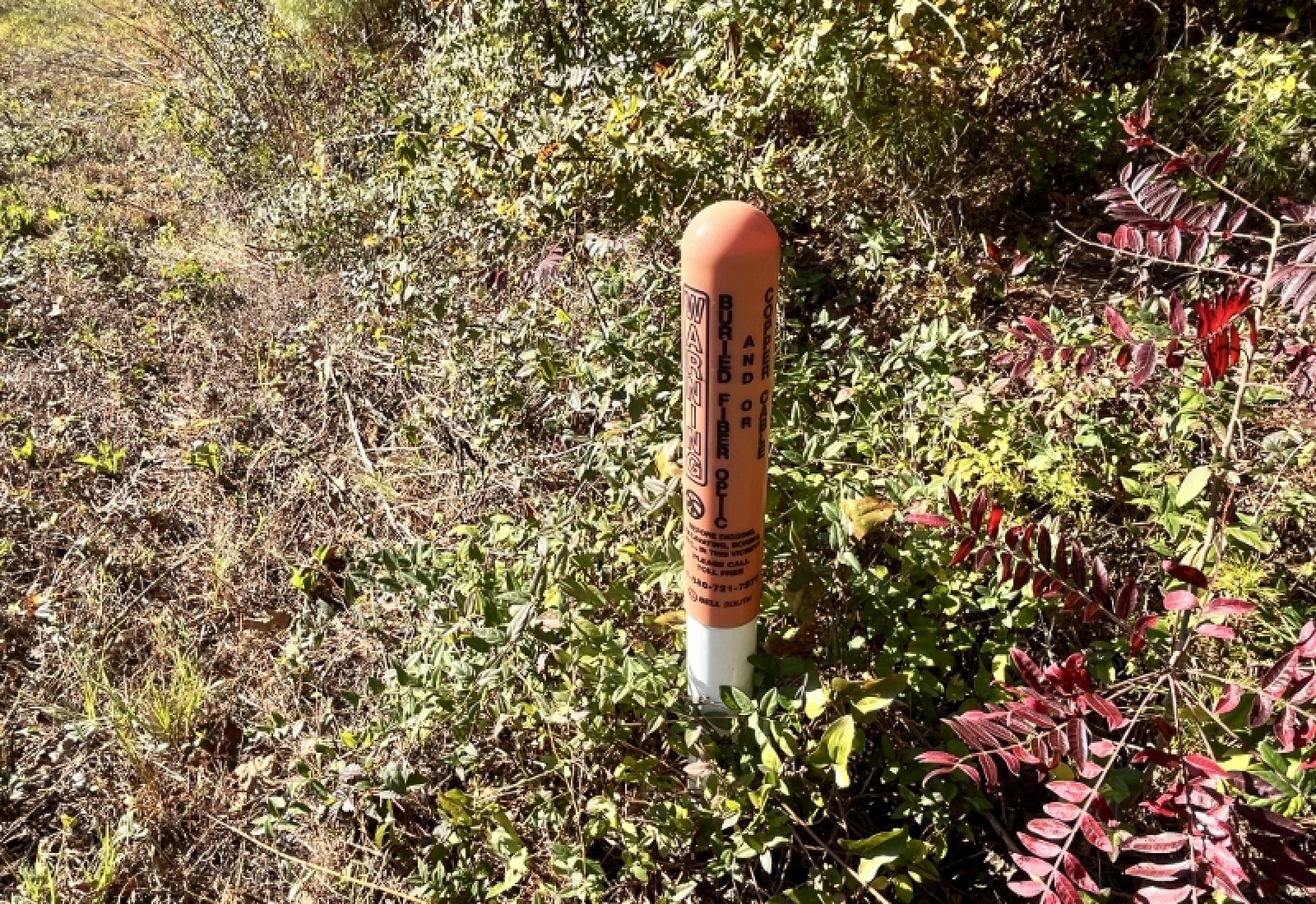 Union County, 0 , 0 ,0,Land,Active,0,1192 Union County, 0 , 0 ,0,Land,Active,0,1192