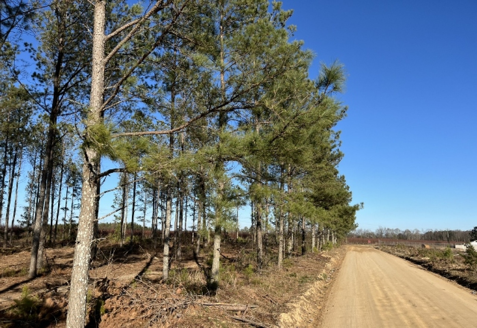 Saluda County, 0 , 0 ,0,Land,Active,0,1193 Saluda County, 0 , 0 ,0,Land,Active,0,1193