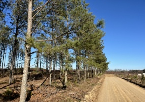Saluda County, 0 , 0 ,0,Land,Active,0,1193 Saluda County, 0 , 0 ,0,Land,Active,0,1193