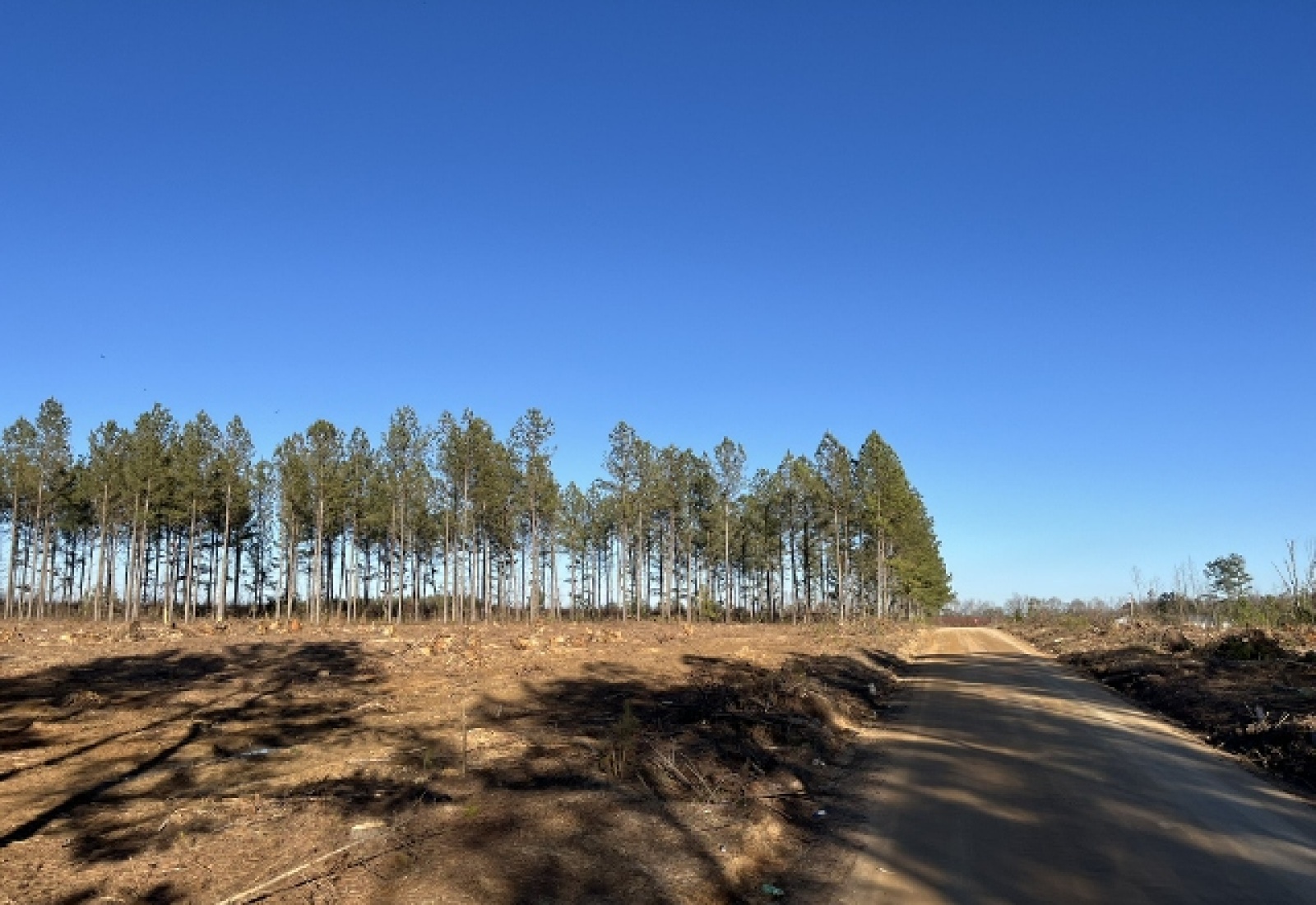 Saluda County, 0 , 0 ,0,Land,Active,0,1194 Saluda County, 0 , 0 ,0,Land,Active,0,1194