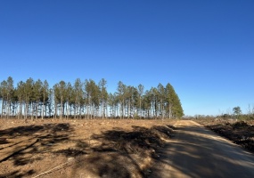 Saluda County, 0 , 0 ,0,Land,Active,0,1194 Saluda County, 0 , 0 ,0,Land,Active,0,1194