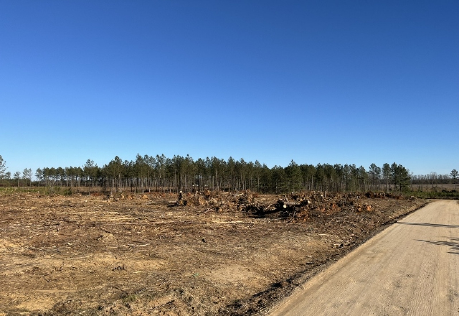 Saluda County, 0 , 0 ,0,Land,Active,0,1194 Saluda County, 0 , 0 ,0,Land,Active,0,1194