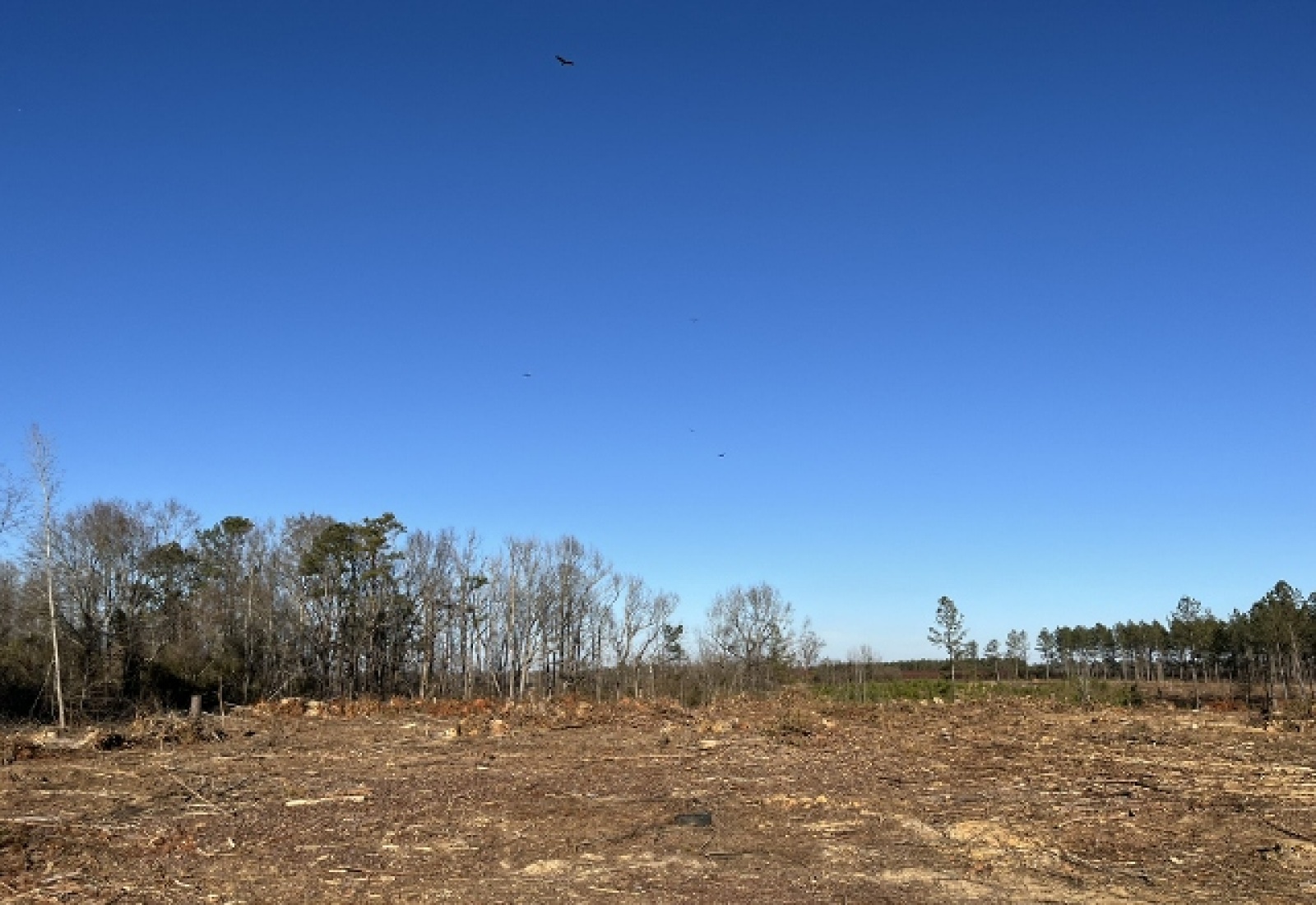 Saluda County, 0 , 0 ,0,Land,Active,0,1194 Saluda County, 0 , 0 ,0,Land,Active,0,1194