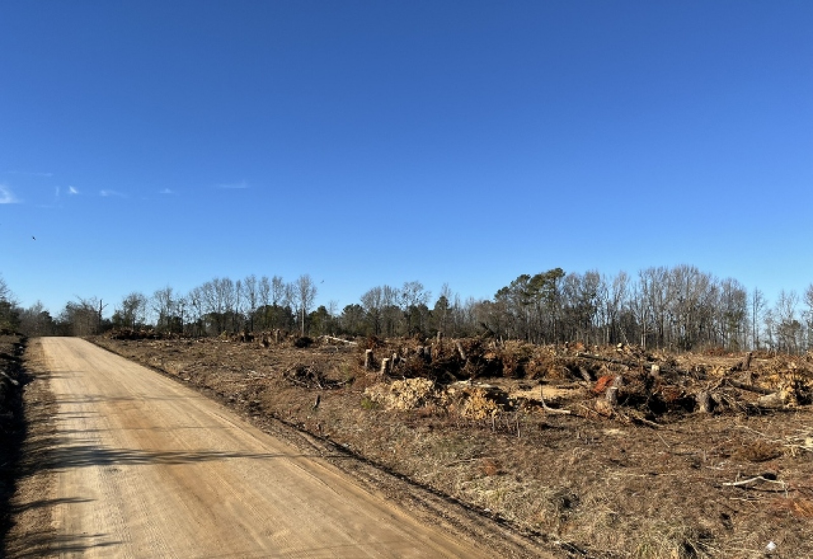 Saluda County, 0 , 0 ,0,Land,Active,0,1194 Saluda County, 0 , 0 ,0,Land,Active,0,1194