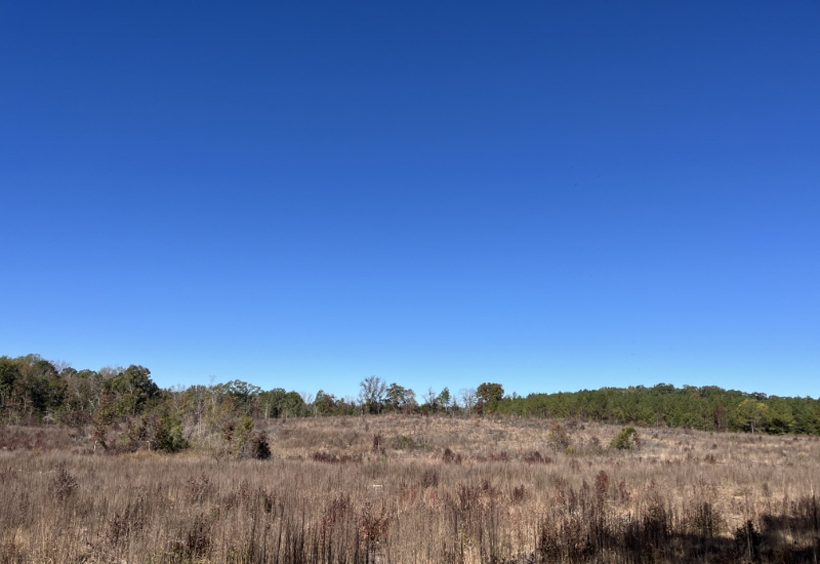 Abbeville County, 0 , 0 ,0,Land,Active,0,1195