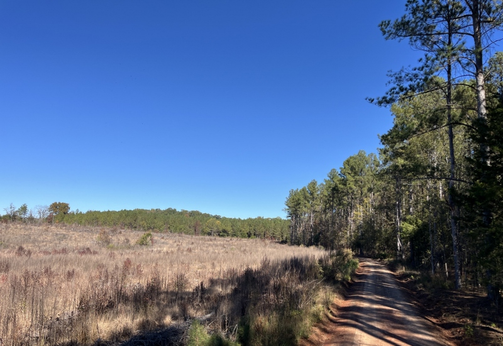 Abbeville County, 0 , 0 ,0,Land,Active,0,1195