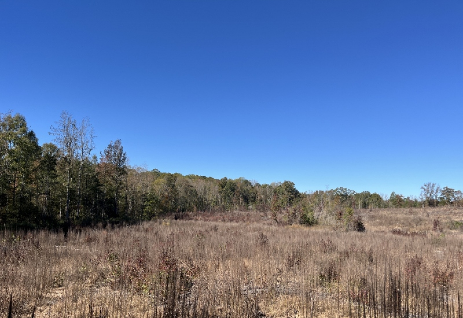 Abbeville County, 0 , 0 ,0,Land,Active,0,1195