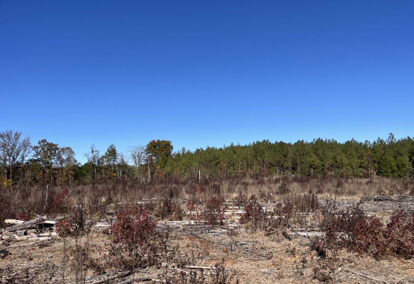 Abbeville County, 0 , 0 ,0,Land,Active,0,1195