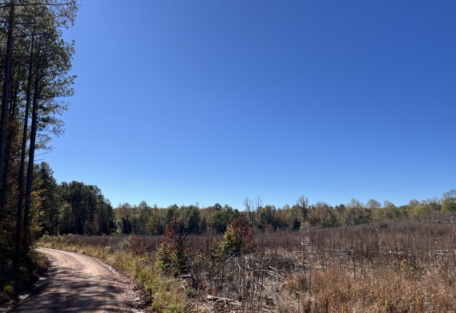 Abbeville County, 0 , 0 ,0,Land,Active,0,1195