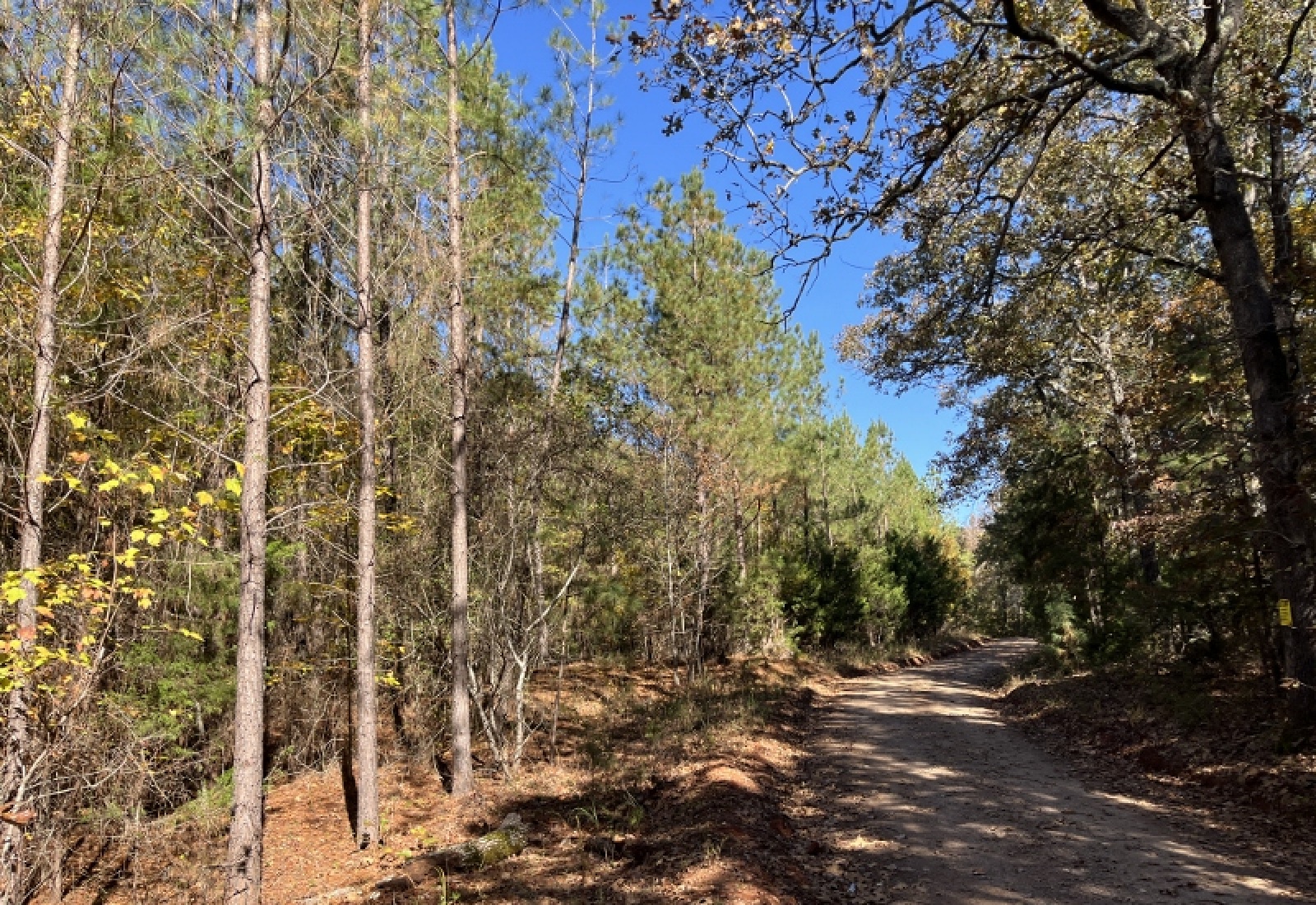 Abbeville County, 0 , 0 ,0,Land,Active,0,1196