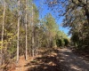 Abbeville County, 0 , 0 ,0,Land,Sold,0,1196