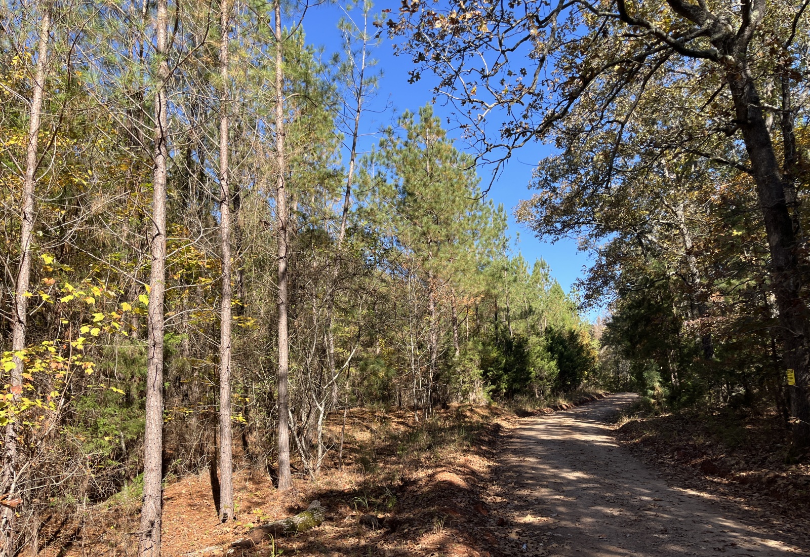 Abbeville County, 0 , 0 ,0,Land,Sold,0,1196