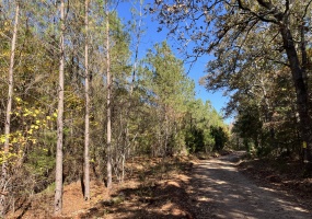 Abbeville County, 0 , 0 ,0,Land,Sold,0,1196