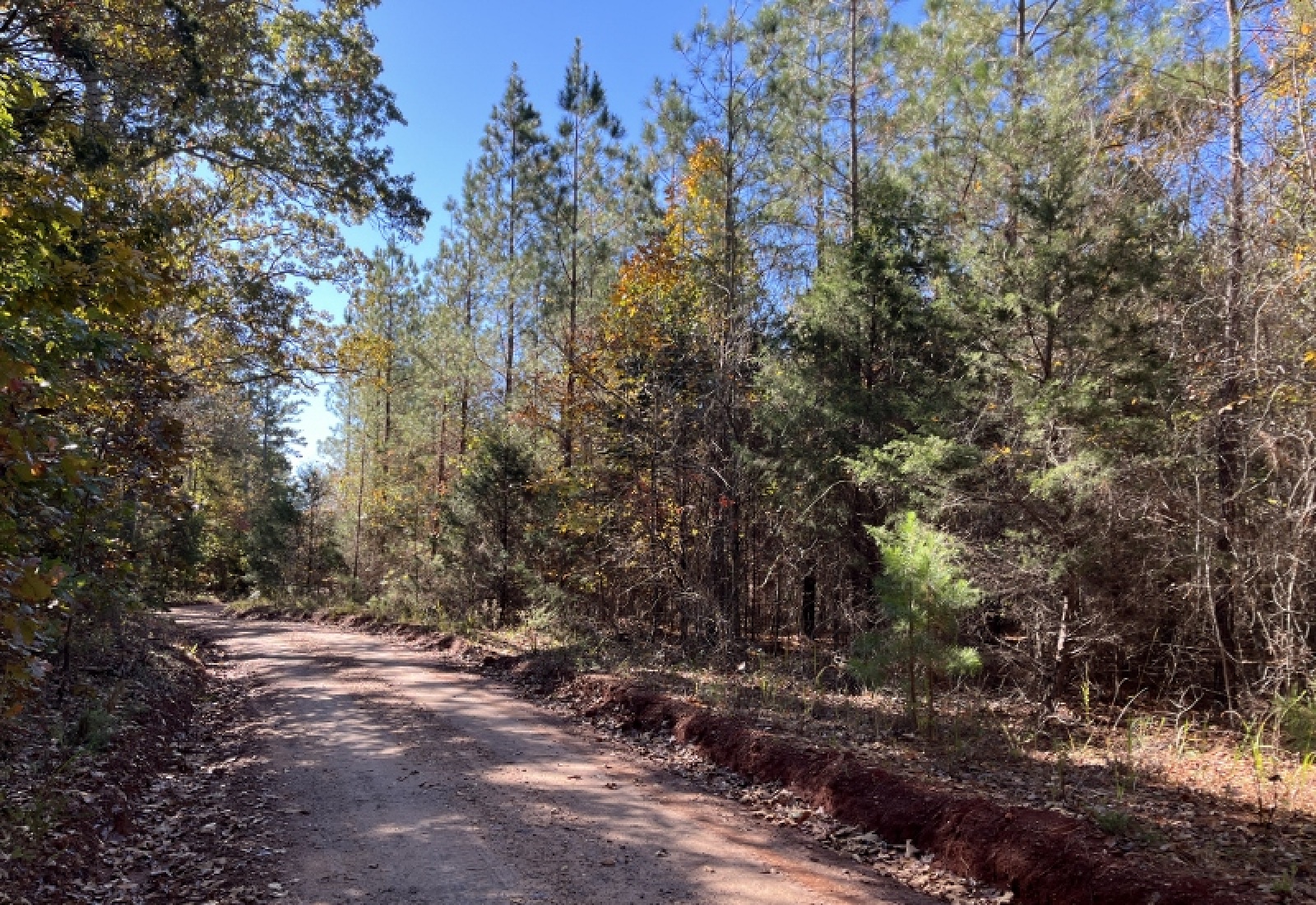 Abbeville County, 0 , 0 ,0,Land,Active,0,1196