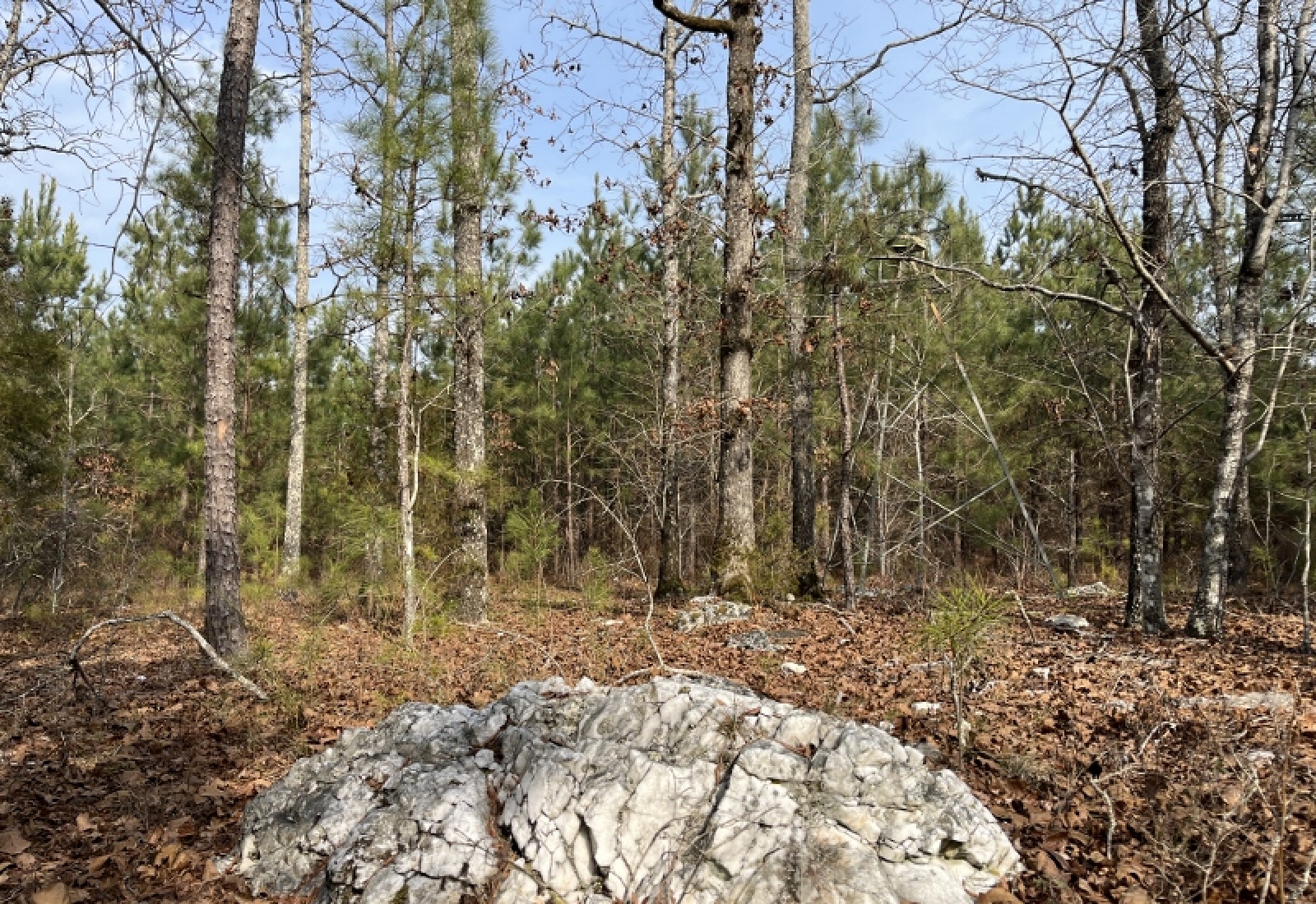 McCormick, 0 , 0 ,0,Land,Active,0,1197 McCormick, 0 , 0 ,0,Land,Active,0,1197