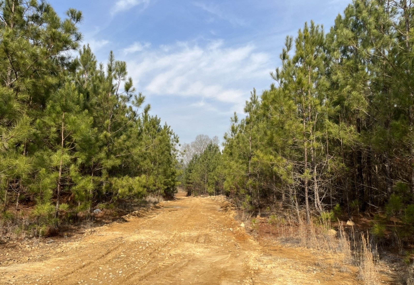 McCormick, 0 , 0 ,0,Land,Active,0,1197 McCormick, 0 , 0 ,0,Land,Active,0,1197