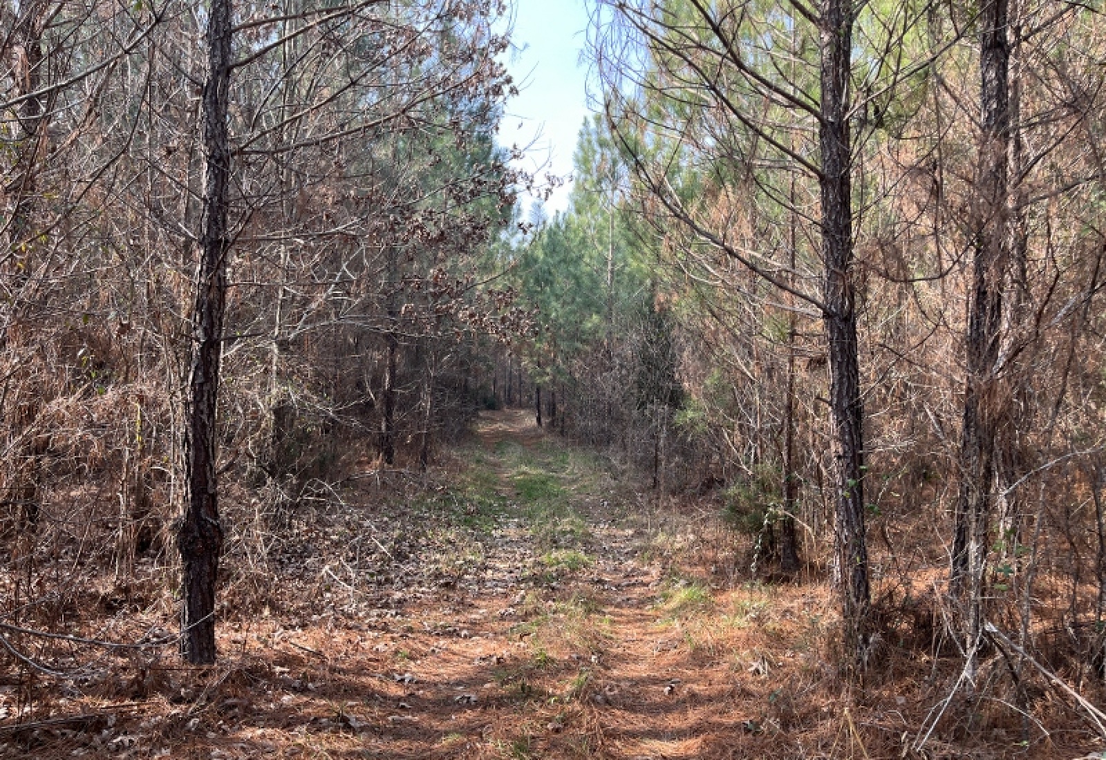 McCormick, 0 , 0 ,0,Land,Active,0,1197 McCormick, 0 , 0 ,0,Land,Active,0,1197