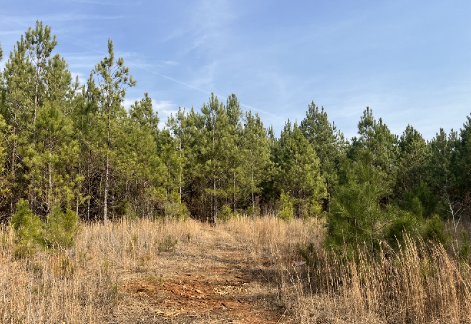 McCormick, 0 , 0 ,0,Land,Active,0,1197 McCormick, 0 , 0 ,0,Land,Active,0,1197