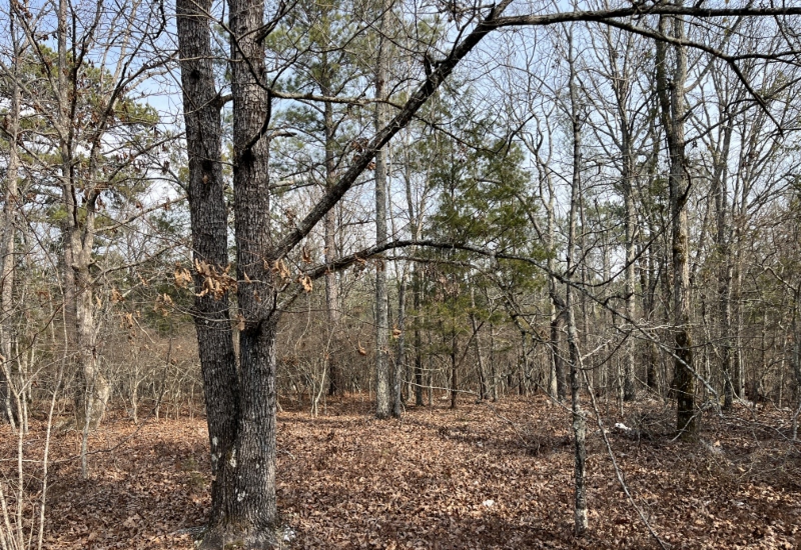 McCormick, 0 , 0 ,0,Land,Active,0,1197 McCormick, 0 , 0 ,0,Land,Active,0,1197