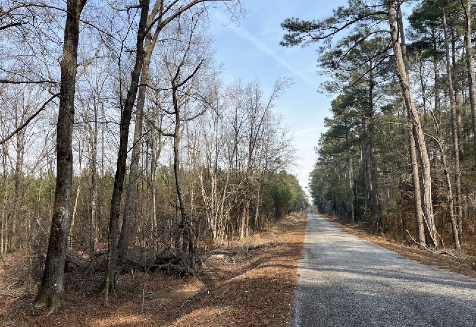 McCormick, 0 , 0 ,0,Land,Active,0,1197 McCormick, 0 , 0 ,0,Land,Active,0,1197