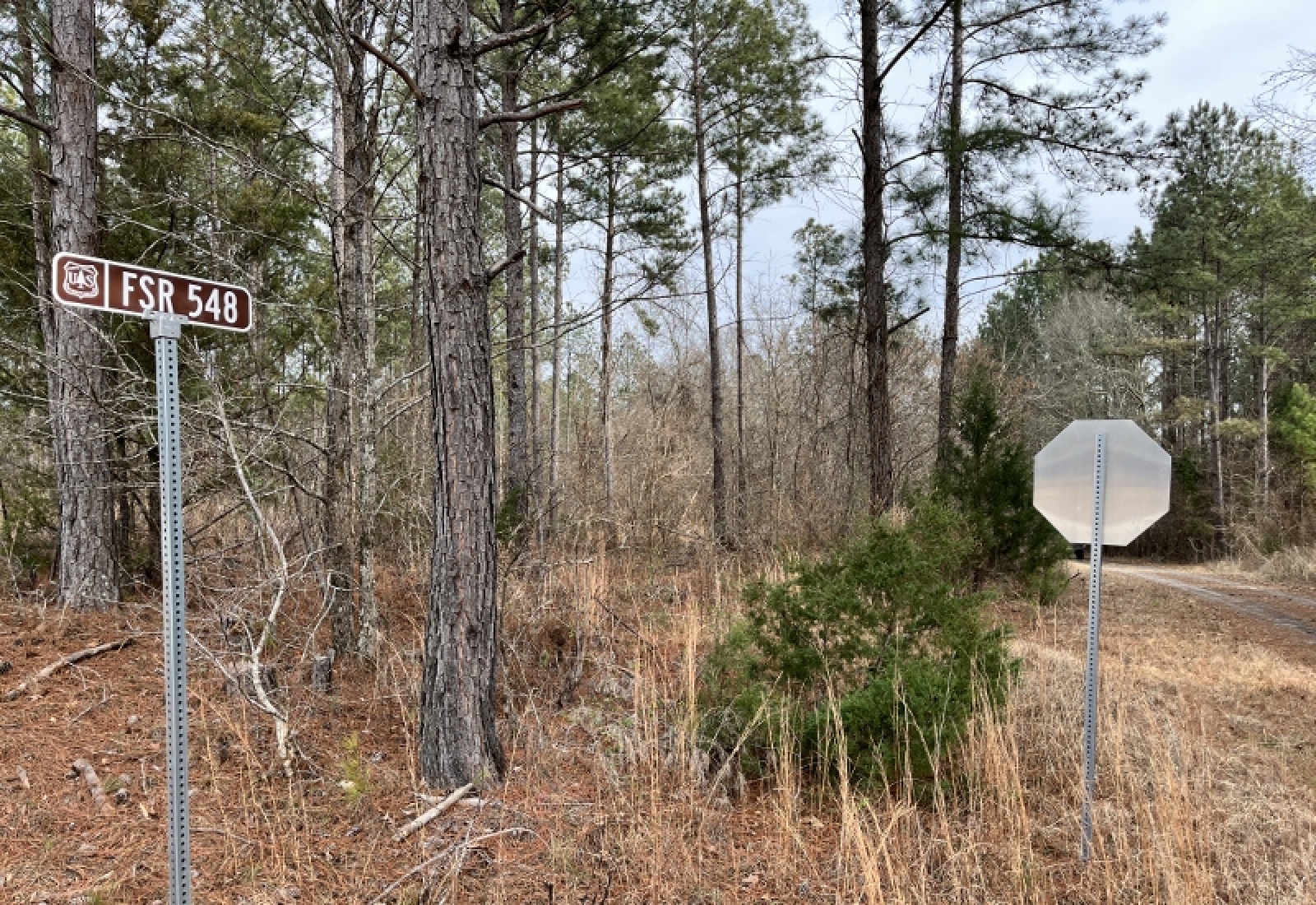 McCormick County, 0 , 0 ,0,Land,Active,0,1198
