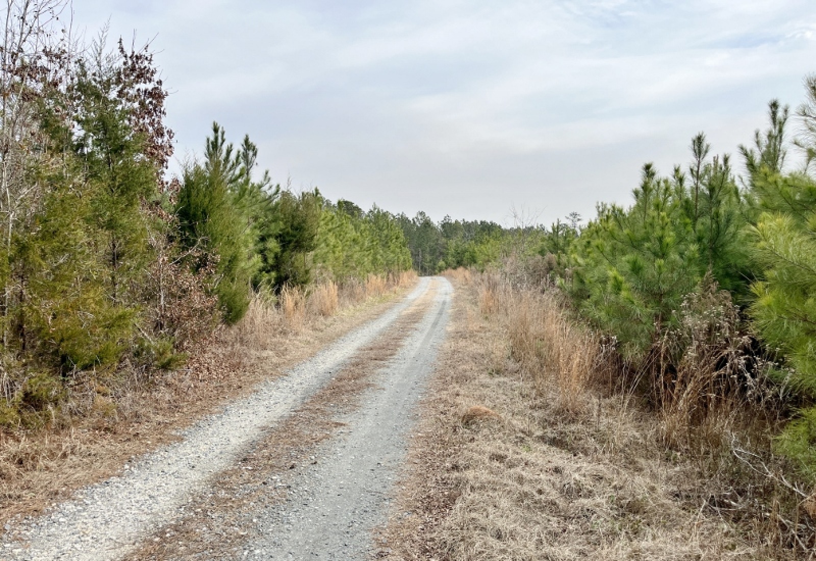McCormick County, 0 , 0 ,0,Land,Active,0,1198