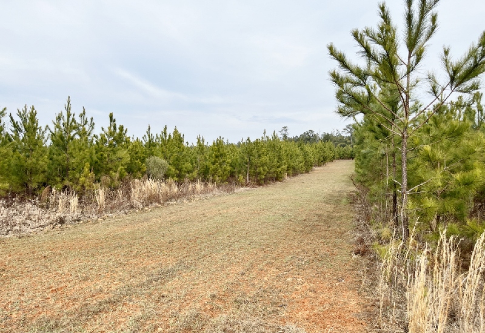 McCormick County, 0 , 0 ,0,Land,Active,0,1198