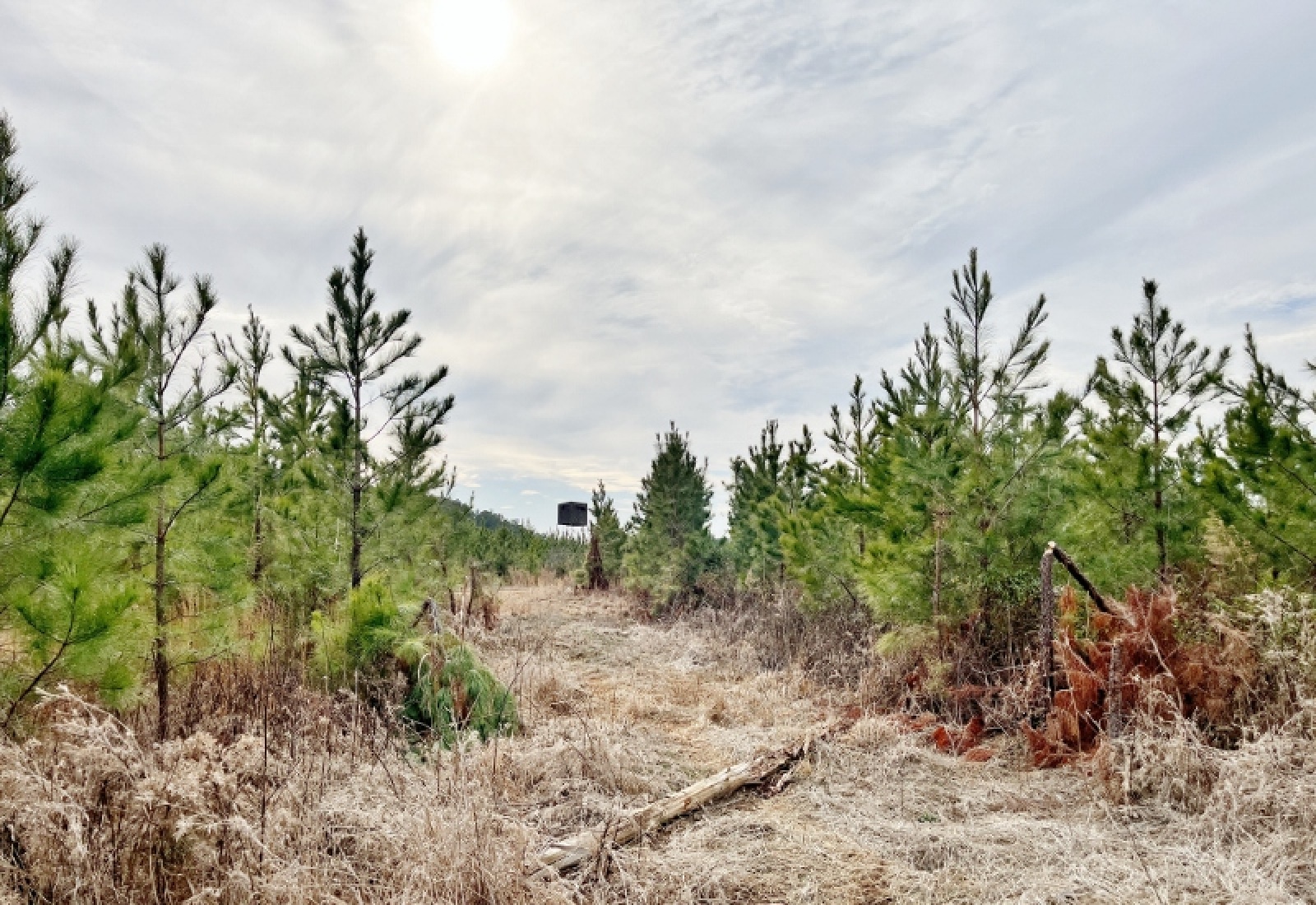 McCormick County, 0 , 0 ,0,Land,Active,0,1198