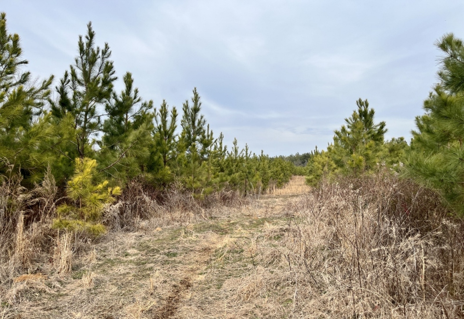 McCormick County, 0 , 0 ,0,Land,Active,0,1198